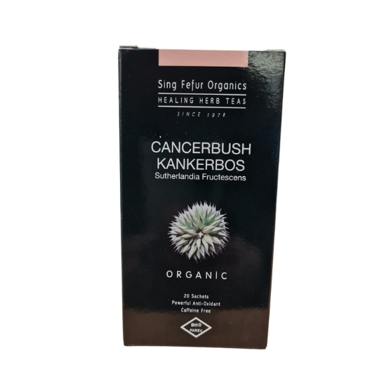 Sing Fefur Cancerbush Tea 20 teabags per box
